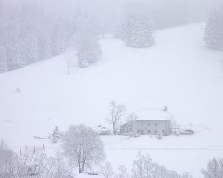 P1050499 Dimanche matin, le paysage a changé de couleur !