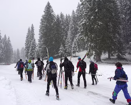 P1050504 C'est un groupe bien décidé qui débarque à Darbella