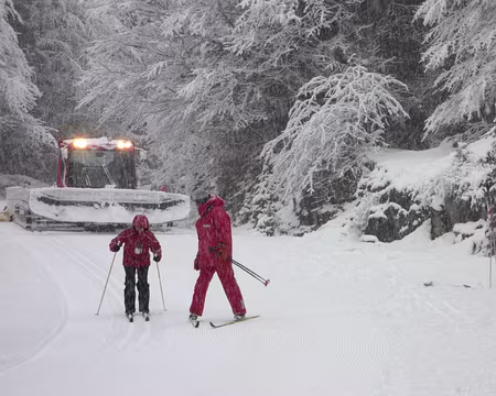 P1050508 Il va falloir bouger !!!