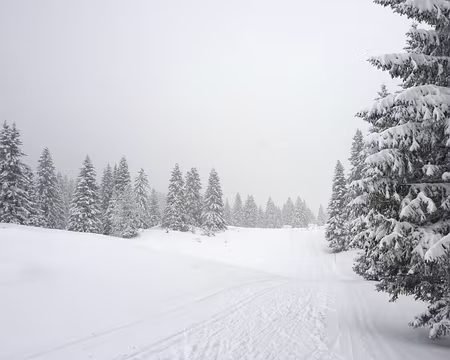 P1050540 La Combe à la Chèvre