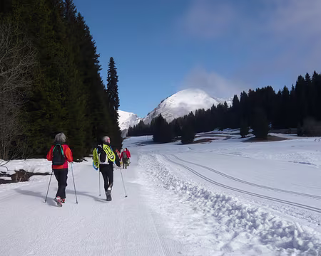 PXL007 Dimanche : les pistes sont damées mais on a décidé de les bouder !