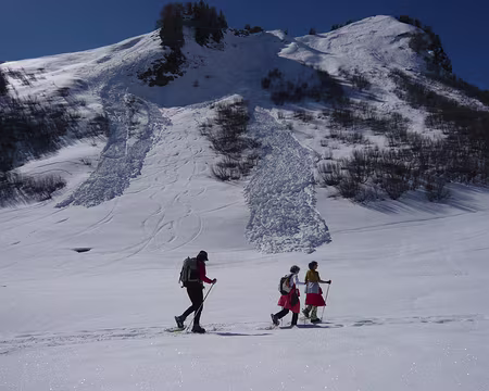 PXL018 Pas si tranquille que çà le secteur ...