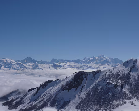 PXL023 On ne s'en lasse pas.