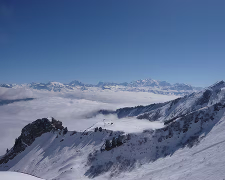 PXL028 Les chalets du Roy sont bien loins.