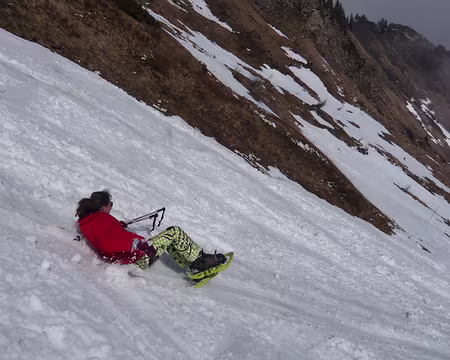 PXL032 Les zozos à l'oeuvre : voir la vidéo