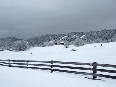 Philippe Philippe C, détail sortie