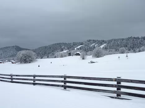 Philippe Philippe C, détail sortie
