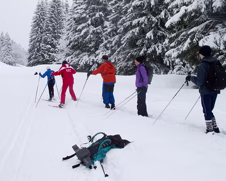 Stage ski de fond Janvier 2012 Petite vacherie