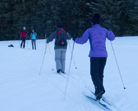 Stage ski de fond Janvier 2012 Tout terrain