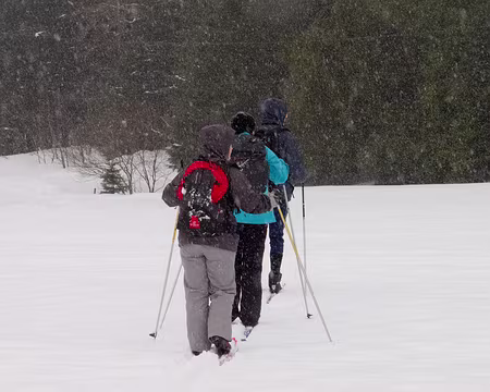 Stage ski de fond Janvier 2012 Au revoir, à bientôt
