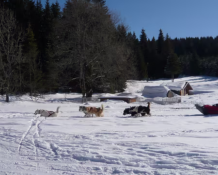 PXL021 Ambiance grand nord !