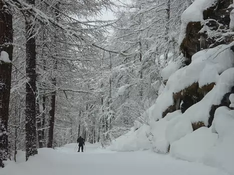 Florence Florence LP, détail sortie