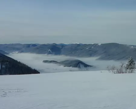 PXL016 L'île est le Bois du Claret entre Autrans et Méaudre