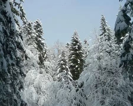 PXL027 Une belle neige en tout cas