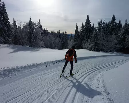 2013-01 Autrans 03 Montée à La Molière