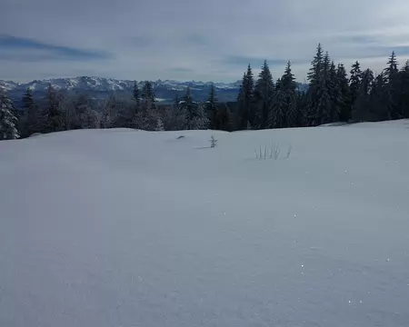 2013-01 Autrans 06 Point de vue depuis La Molière