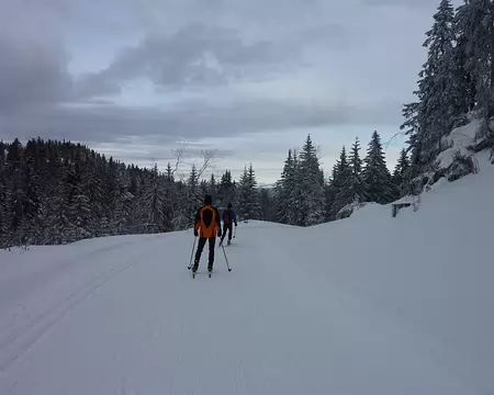 2013-01 Autrans 09 Retour de la Molière