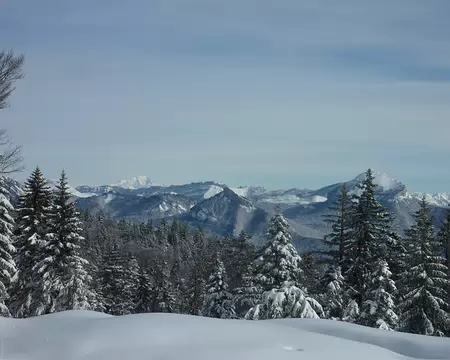 PXL006 point de vue de la Quoi