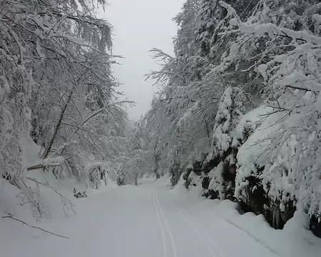 PXL030 combe du Furon