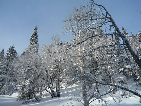 Bernadette Bernadette P, détail sortie