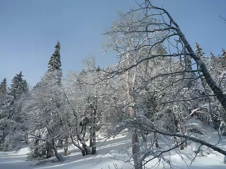 Bernadette Bernadette P, détail sortie