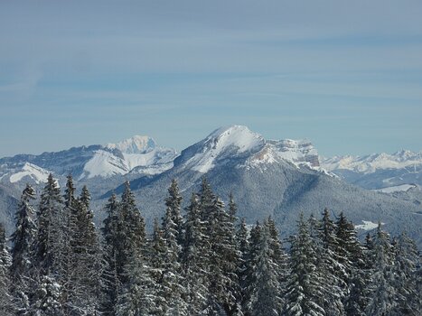 Florence Florence LP, détail sortie