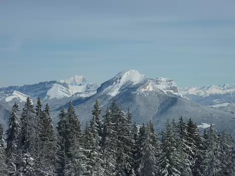 Florence Florence LP, détail sortie