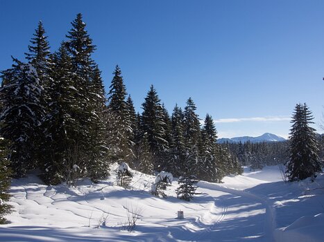 Philippe Philippe C, détail sortie