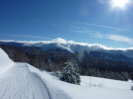 Florence Florence LP, détail sortie
