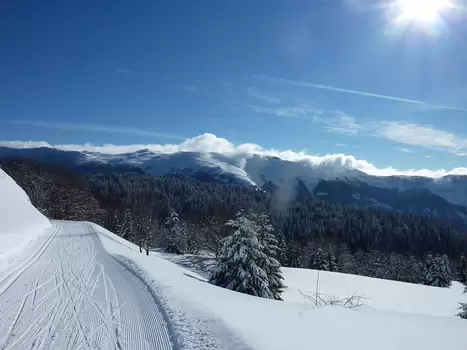 Florence Florence LP, détail sortie