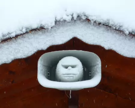 PXL000 Portrait Saisies-sans !