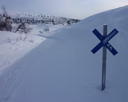P1020493 Belle piste bleue à Rautuvankka