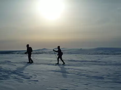 Bernadette Bernadette P, détail sortie