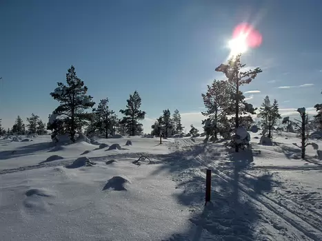 Graziella Graziella C, détail sortie