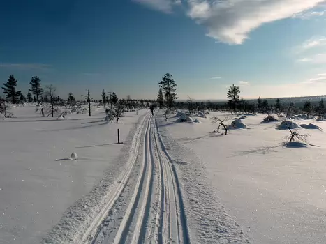 Jean-Alain Jean-Alain G, détail sortie