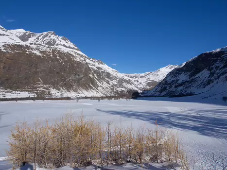 Philippe Philippe C, détail sortie