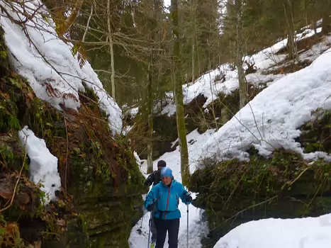 Bernadette Bernadette P, détail sortie