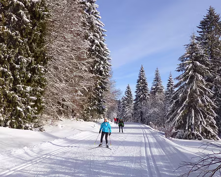 PXL001 Des conditions idéales