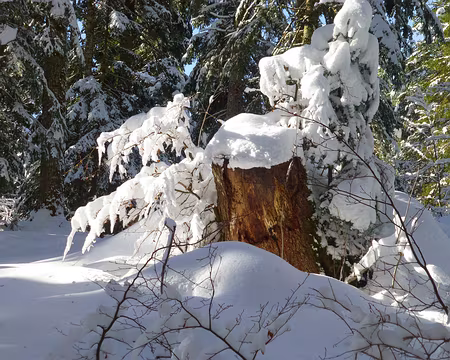 PXL003 Il est tombé quinze centimètres pendant la nuit.