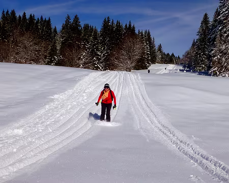 PXL004 Comment résister à une telle poudreuse ?