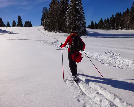 PXL005 Nous aussi on se met au ski de randonnée nordique ...
