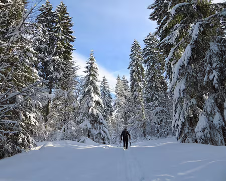 PXL006 maintenant, les skis sont à la main...