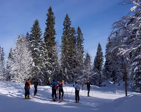 P1253776 Au carrefour du Goulet, dans la forêt du Massacre