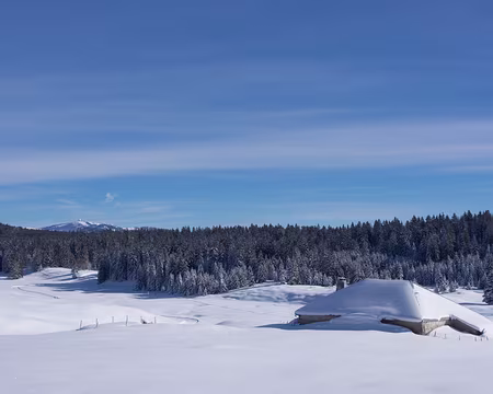 P1253790 La sommet de la Dôle