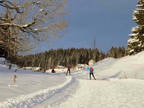 Jean-Louis Jean-Louis M, détail sortie