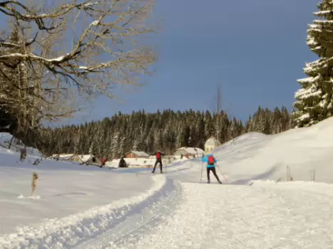 Jean-Louis Jean-Louis M, détail sortie