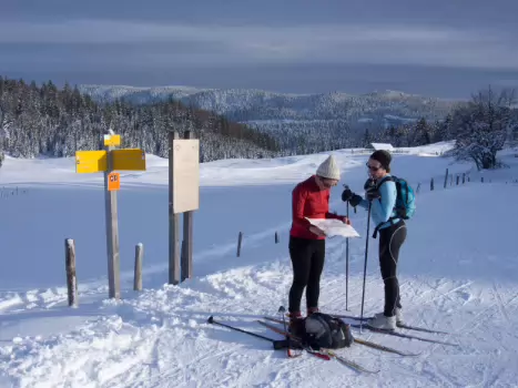 Philippe Philippe C, détail sortie