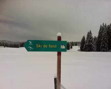 PXL004 Ici au moins, les deux techniques de ski de fond sont indiquées sur les panneaux !