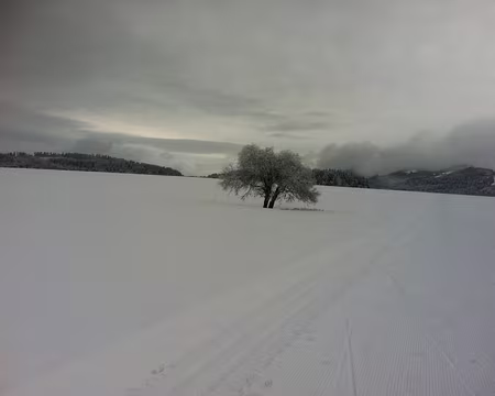 PXL005 Le dimanche, après une belle chute de neige tout à fait bienvenue...
