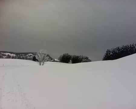 PXL010 Un régal pour les yeux !